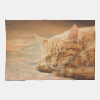 Linge De Cuisine Chat tigré orange de sommeil
