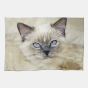 Linge De Cuisine Chaton Ragdoll