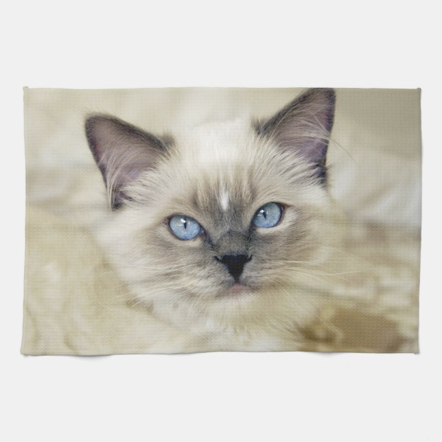 Linge De Cuisine Chaton Ragdoll (Horizontal)