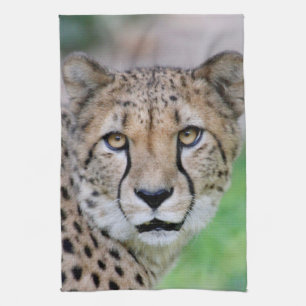 Linge De Cuisine Cheetah 009