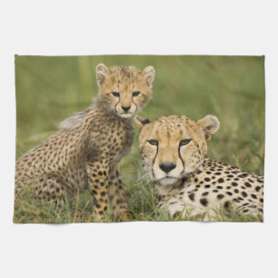 Linge De Cuisine Cheetah, Acinonyx jubatus, avec Cub