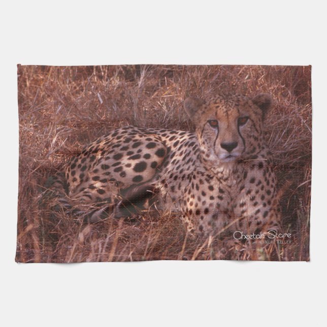 Linge De Cuisine Cheetah Stare (Horizontal)