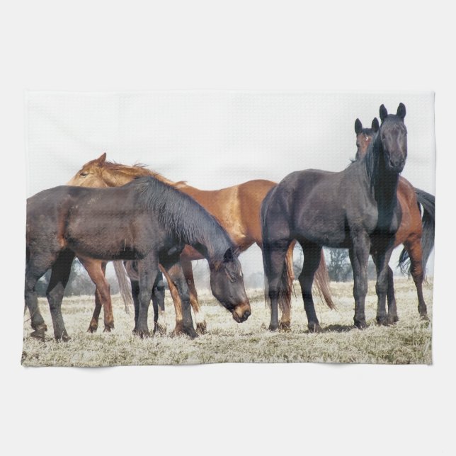LINGE DE CUISINE CHEVAUX (Horizontal)