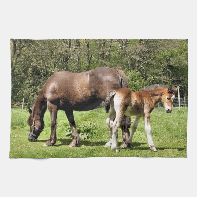 LINGE DE CUISINE CHEVAUX (Horizontal)
