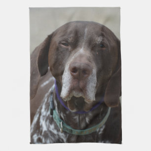 Linge De Cuisine Chien allemand d'indicateur aux cheveux courts