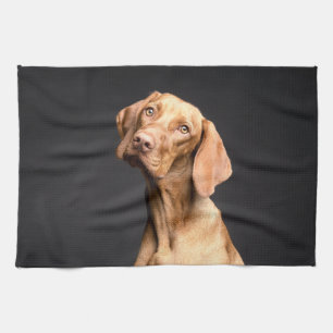 Linge De Cuisine Chien Beagle Brown animal