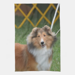 Linge De Cuisine Chien de berger de Shetland
