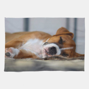 Linge De Cuisine Chien de compagnie mignon