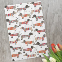Chien de saucisse Dachshund
