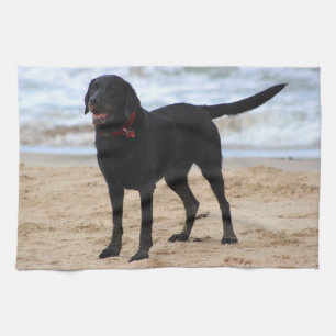 Linge De Cuisine Chien noir de Labrador