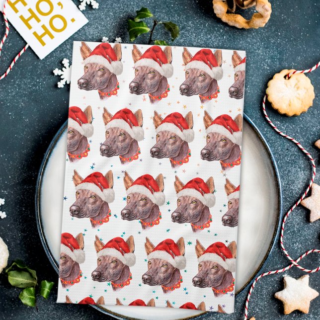 Linge De Cuisine Chien sans cheveux mexicain race Étoiles de Noël (Créateur téléchargé)