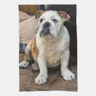 Linge De Cuisine Chiot britannique de bouledogue