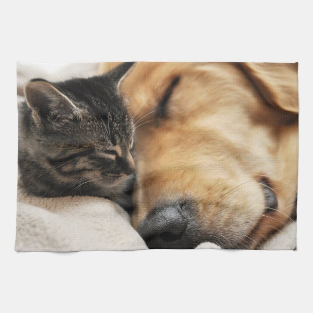Linge De Cuisine Chiot et chaton mignons (Horizontal)