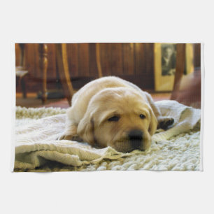 Linge De Cuisine chiot jaune 2 labo