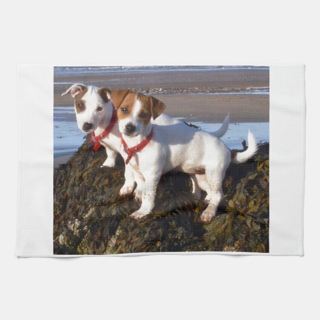 Linge De Cuisine Chiots de Jack Russell (Horizontal)