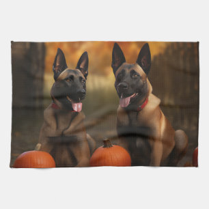 Linge De Cuisine Chiots Malinois Belge Automne Délice Citrouille