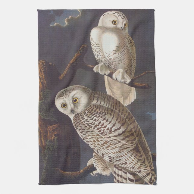 Linge De Cuisine Chouette blanche neige Audubon lors d'une nuit nua (Vertical)