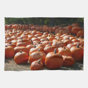 Linge De Cuisine Citrouille Patch Automne Harvest Photographie