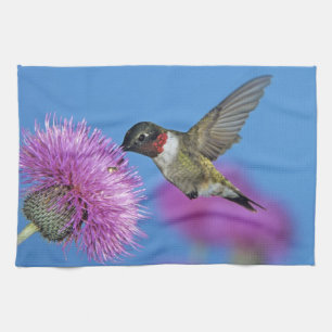 Linge De Cuisine Colibri à gorge rubis