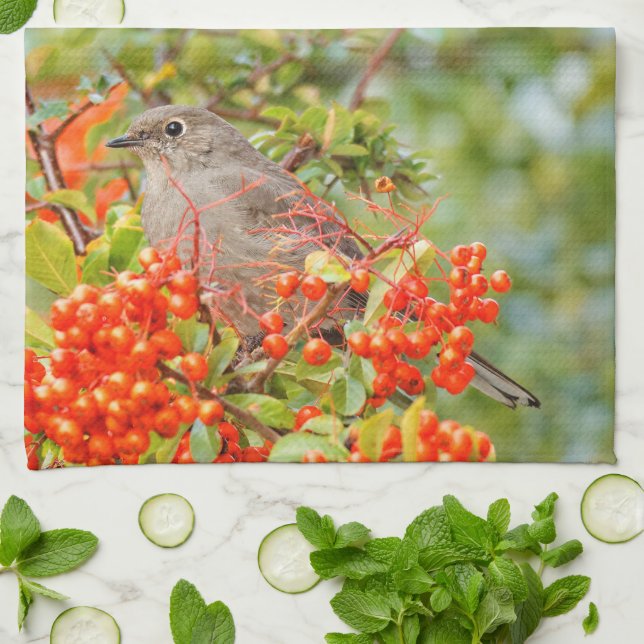 Linge De Cuisine Colibri solitaire de Townsend sur la Pyracantha (Plié)