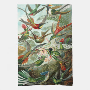 Linge De Cuisine Colibris par Ernst Haeckel, Oiseaux Arbres Vintage