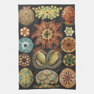 Linge De Cuisine Collage d'art de la vie marine nautique d'Ernst Ha
