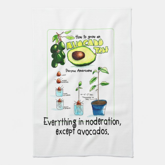 Linge De Cuisine Comment Cultiver Un Avocat (Vertical)