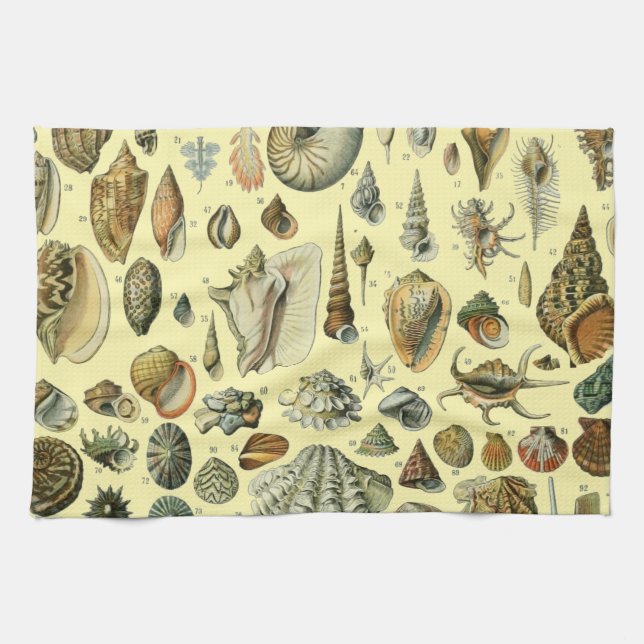 Linge De Cuisine Coquillages de coquillages Mollusk Clam Élégant Ar (Horizontal)