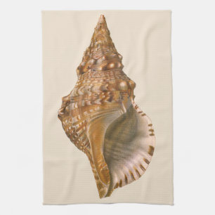 Linge De Cuisine Coquille de Triton, Coquillage Marin Vintage Anima