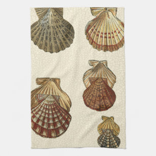 Linge De Cuisine Coquilles antiques craquelées