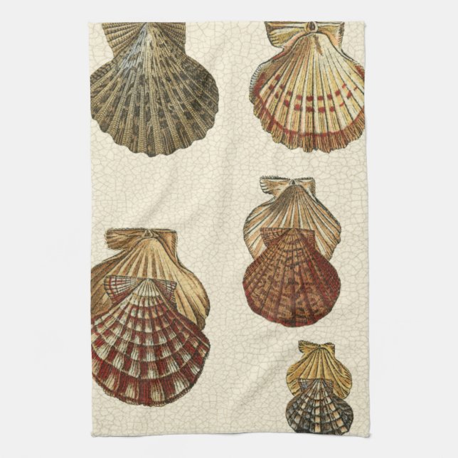 Linge De Cuisine Coquilles antiques craquelées (Vertical)