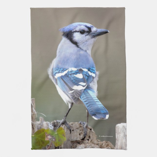Linge De Cuisine Cute Bleu Jay Songbird sur Treestump (Vertical)