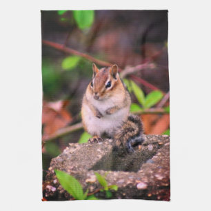 Linge De Cuisine Cute Chipmunk