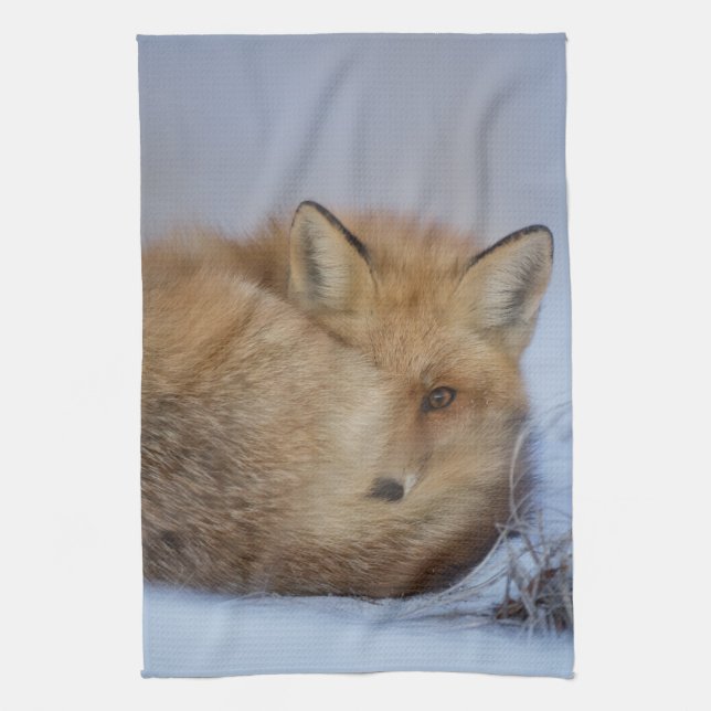 Linge De Cuisine Cute Little Fox Curling Up Winter Photo (Vertical)