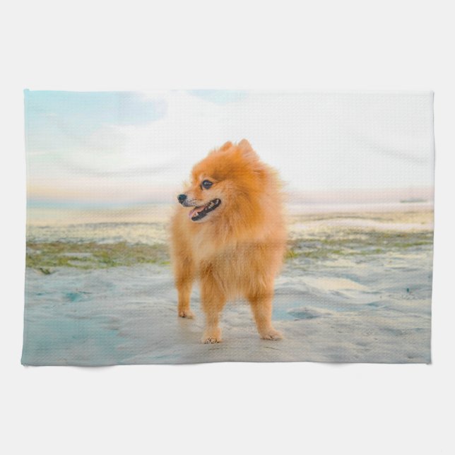 Linge De Cuisine Cute Orange Pomeranian sur Sandy Beach (Horizontal)