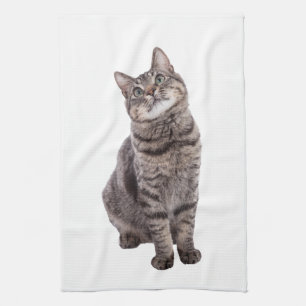 Linge De Cuisine Cute tabby Chat