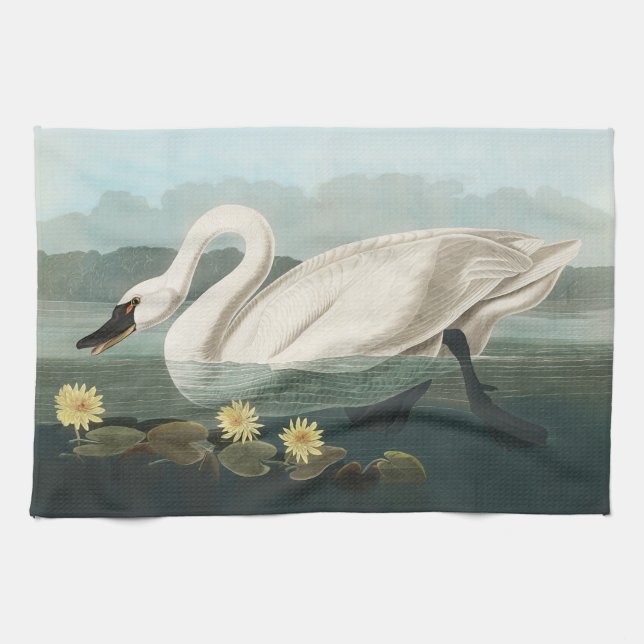 Linge De Cuisine cygne audubon cygnes d'eau blanche (Horizontal)