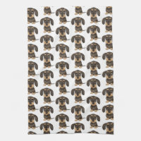 Dachshund À poils durs| Teckel Chien mignon