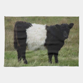 Linge De Cuisine Dartmoor a ceinturé le veau de Galloway