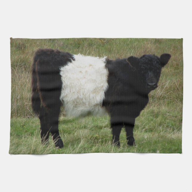 Linge De Cuisine Dartmoor a ceinturé le veau de Galloway (Horizontal)