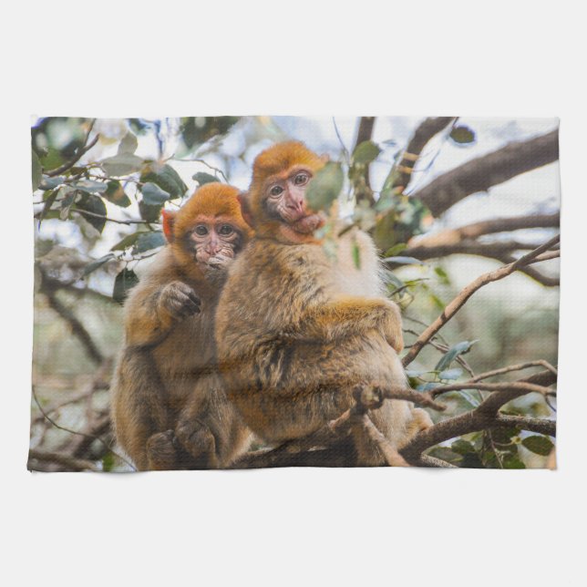 Linge De Cuisine Deux Mignons singes (Horizontal)