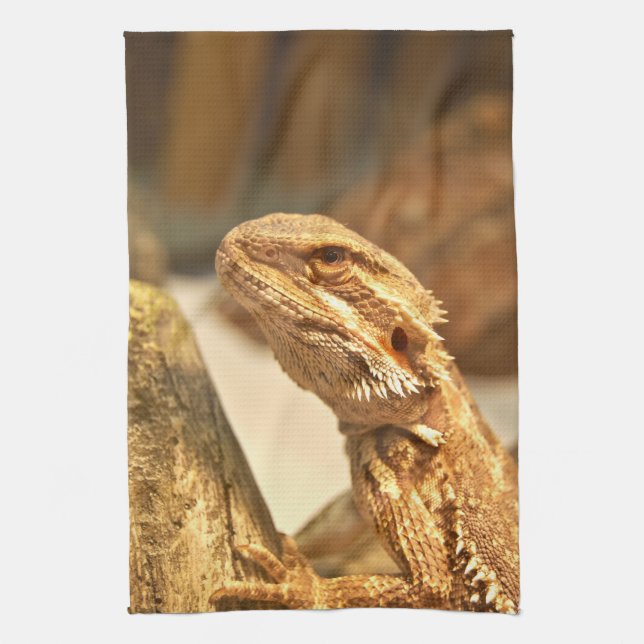 Linge De Cuisine Dragon barbu (Vertical)