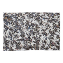 Éclat de l'oie de neige