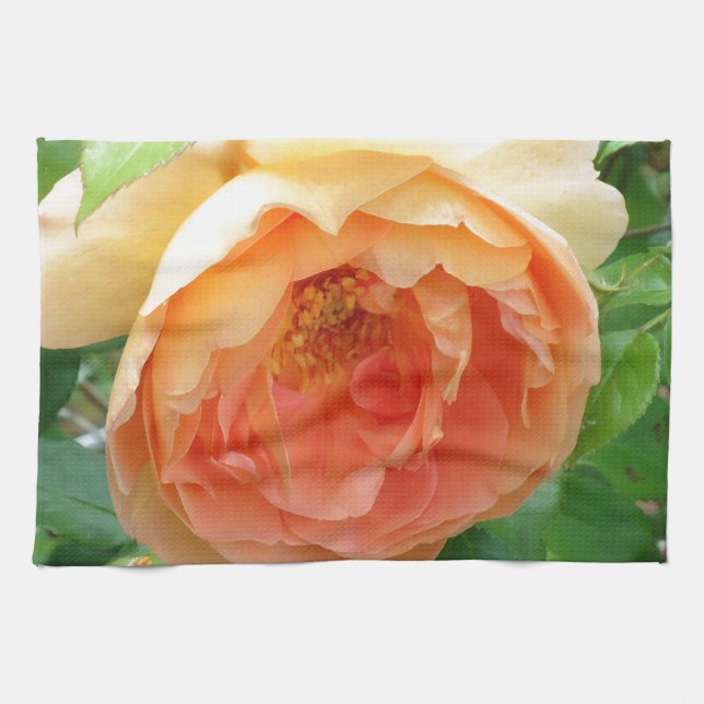 Linge De Cuisine Élégant Rose orange (Horizontal)