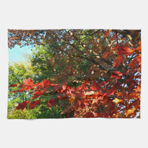 Linge De Cuisine Érable japonais, arbre d'automne feuilles