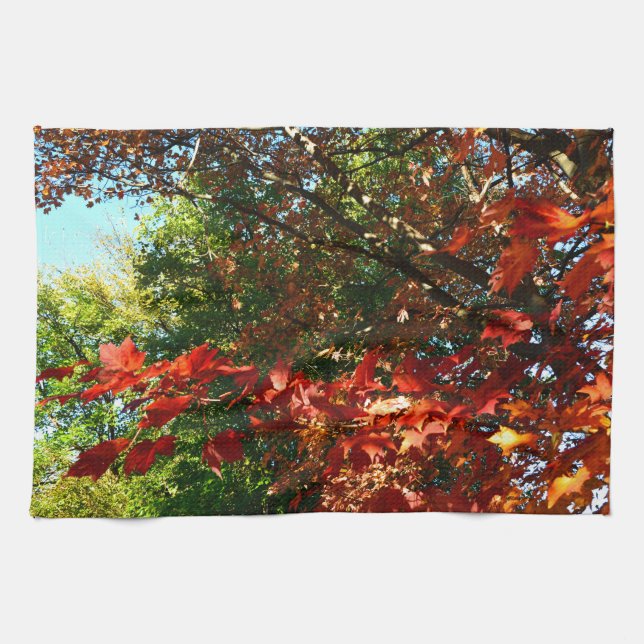 Linge De Cuisine Érable japonais, arbre d'automne feuilles (Horizontal)