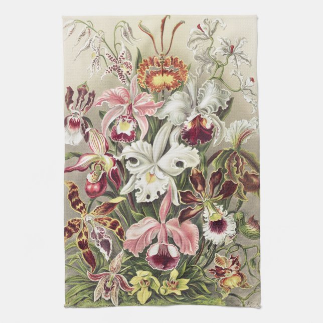 Linge De Cuisine ErnstHaeckel Vintage Botanical Orchid Illustration (Vertical)