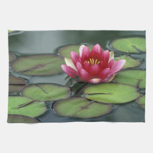 Linge De Cuisine États-Unis, État de Washington, Seattle. Nénuphar
