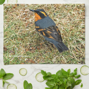 Linge De Cuisine Étonnant oiseau-chanteur à grive variée dans l'her
