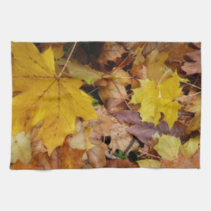 Linge De Cuisine Fallen Maple Feuille Jaune Automne Nature